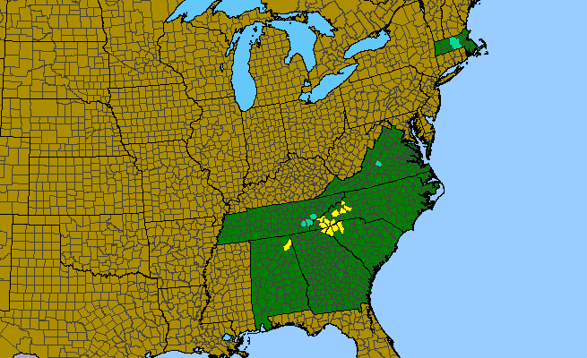 The range of Shortia galacifolia