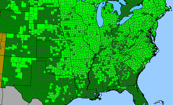 The range of Solidago nemoralis