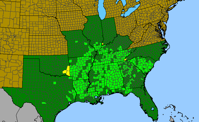 The range of Spigelia marilandica