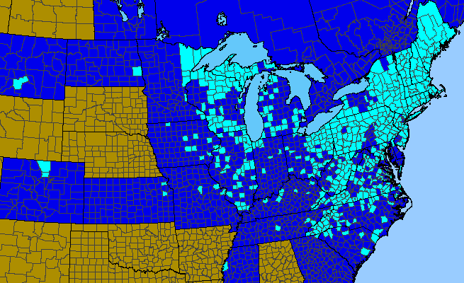 The range of Stellaria graminea