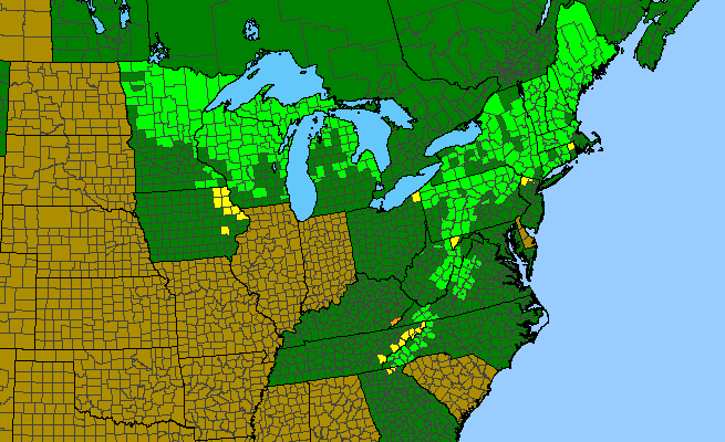 The range of Streptopus lanceolatus