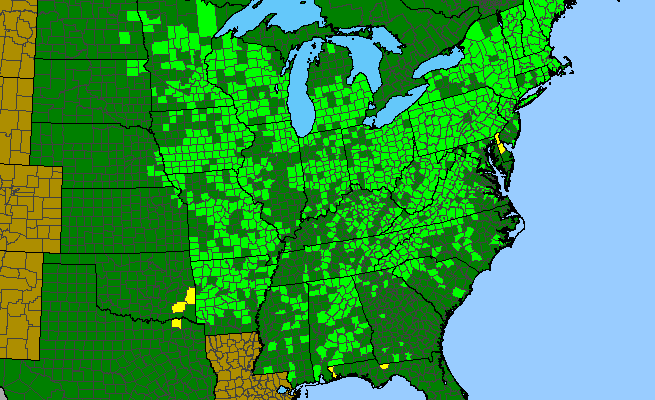 The range of Symphyotrichum cordifolium