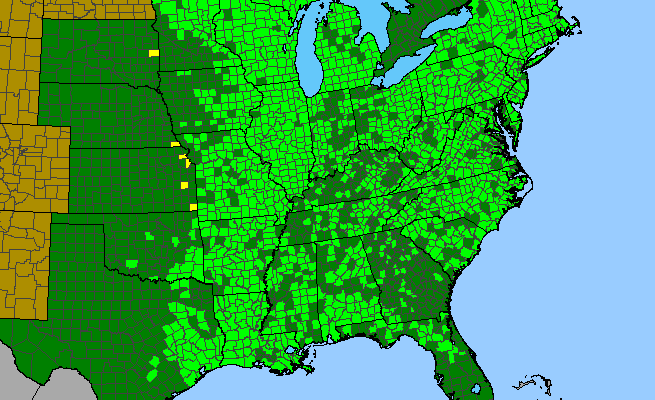 The range of Symphyotrichum lateriflorum