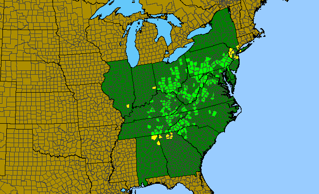 The range of Symphyotrichum phlogifolium