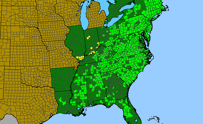 The range of Symphyotrichum undulatum