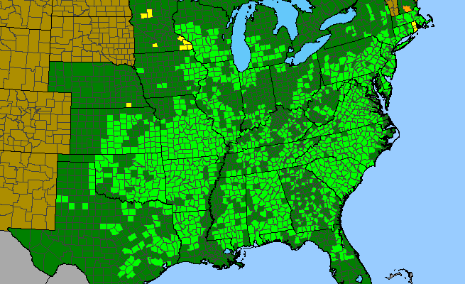 The range of Tephrosia virginiana