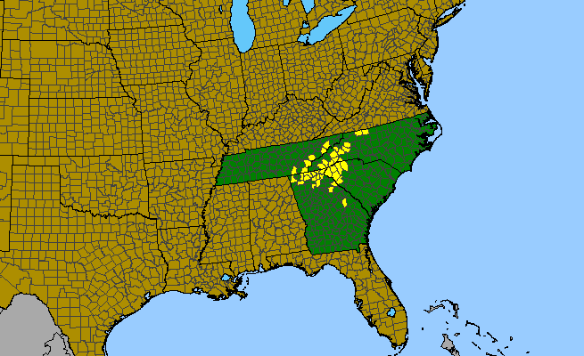 The range of Thermopsis fraxinifolia