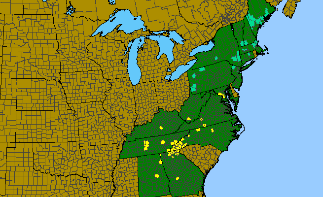 The range of Thermopsis villosa