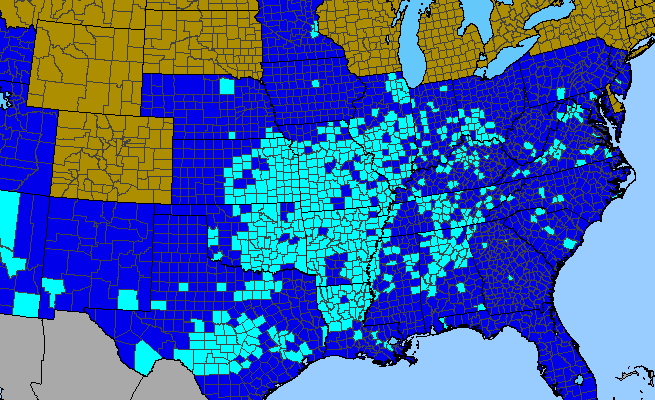 The range of Torilis arvensis