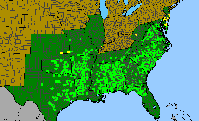 The range of Toxicodendron pubescens