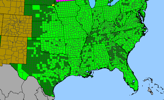 The range of Toxicodendron radicans