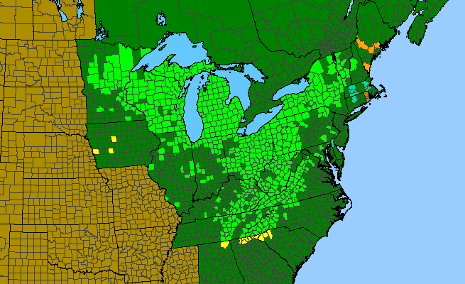The range of Trillium grandiflorum