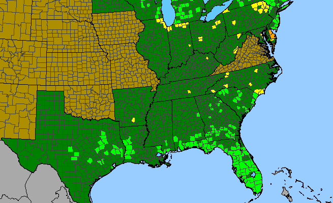 The range of Utricularia cornuta