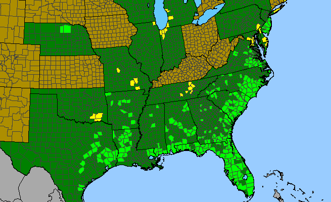 The range of Utricularia subulata