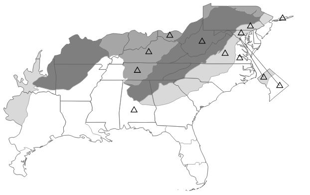 The range of Veronica sublobata