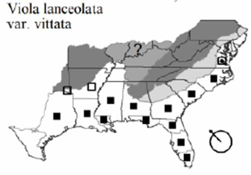 The range of Viola lanceolata var. vittata